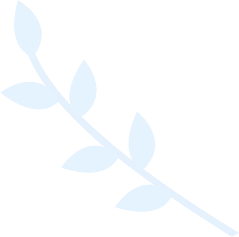 无需复杂操作的网站攻击源码