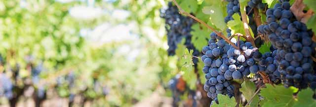 点亮商业未来的ip攻击器网页版